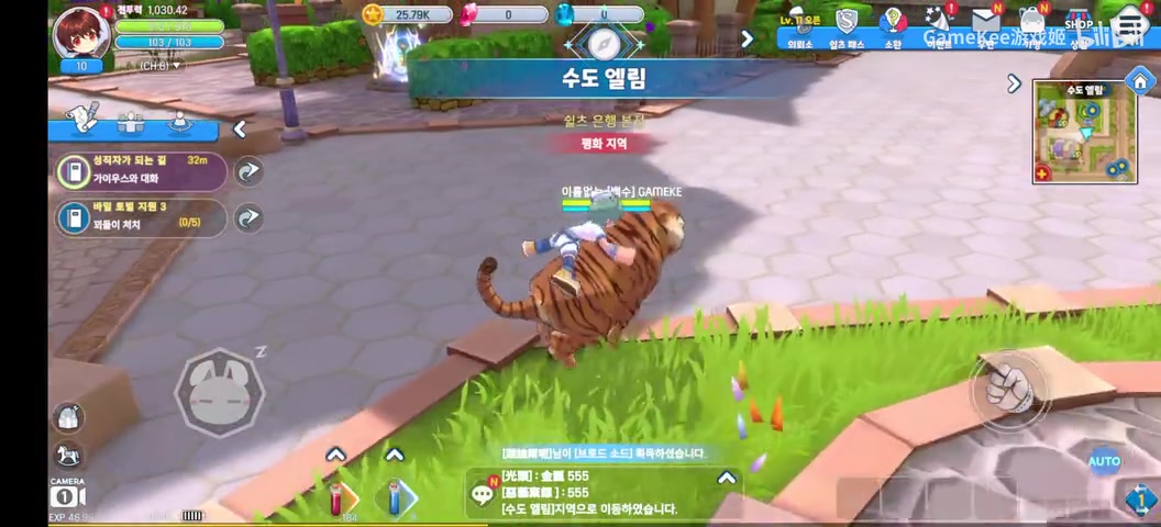 希望ol7阶宠物代码(宠物大全)
