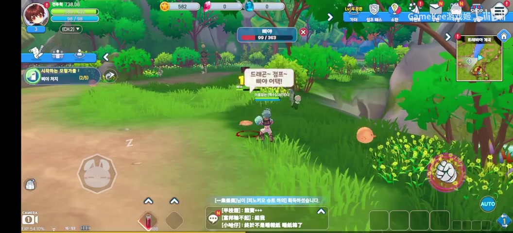 希望ol小丑用什么宠物好(小丑升级路线)
